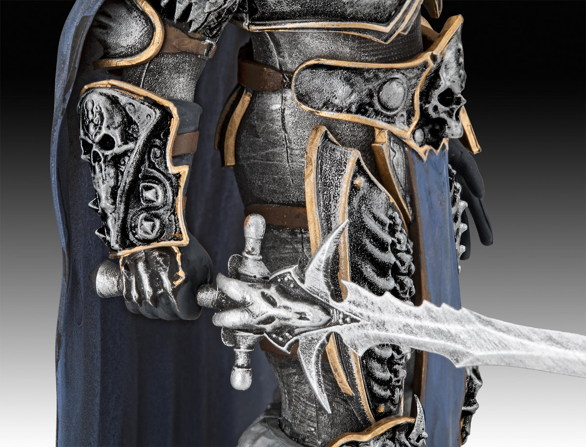 Gift Set The Lich King: World of Warcraft