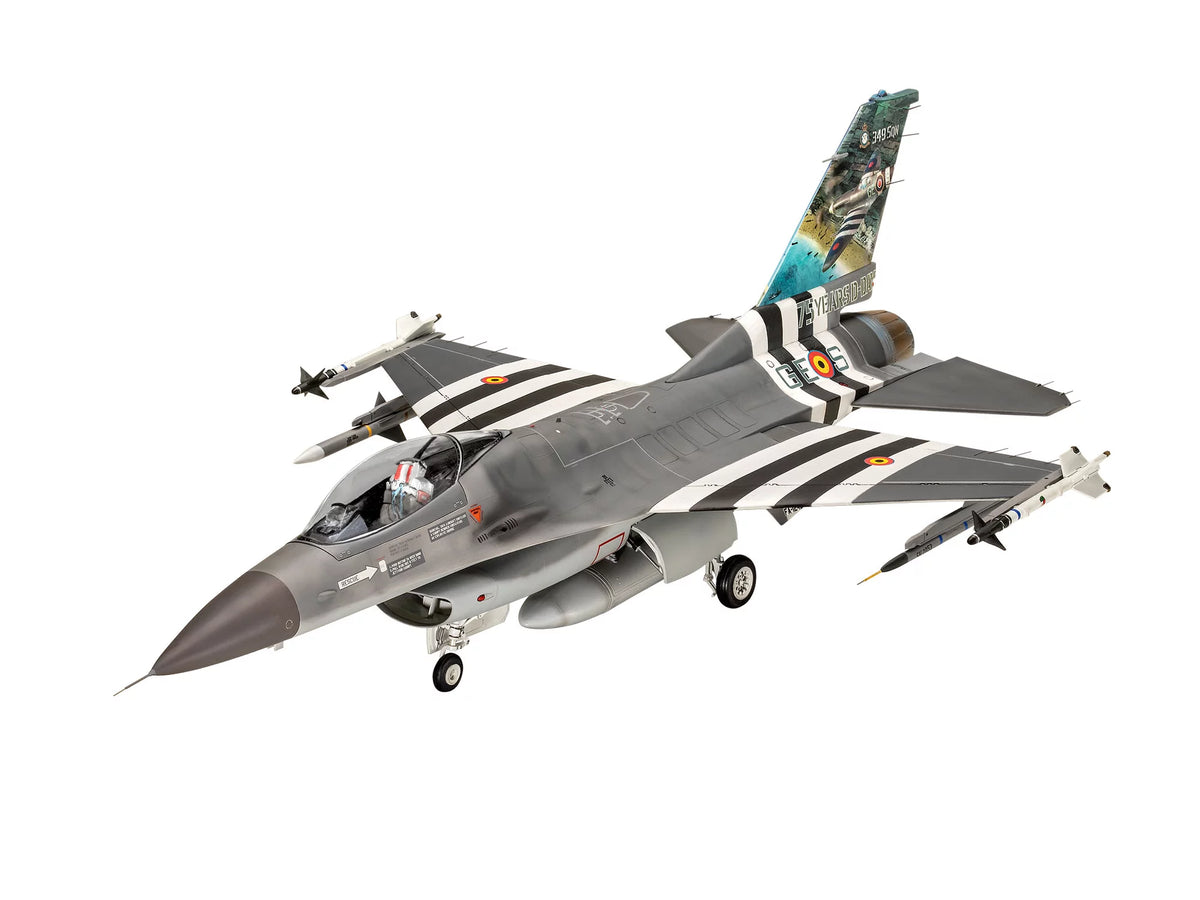 F-16 Falcon 50th Anniversary