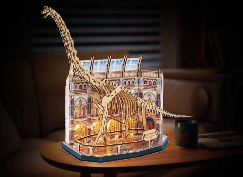 Natural Museum Brachiosaurus Skeleton