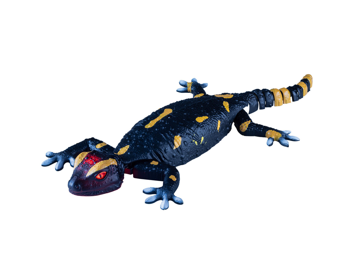 Robo Friends Salamander
