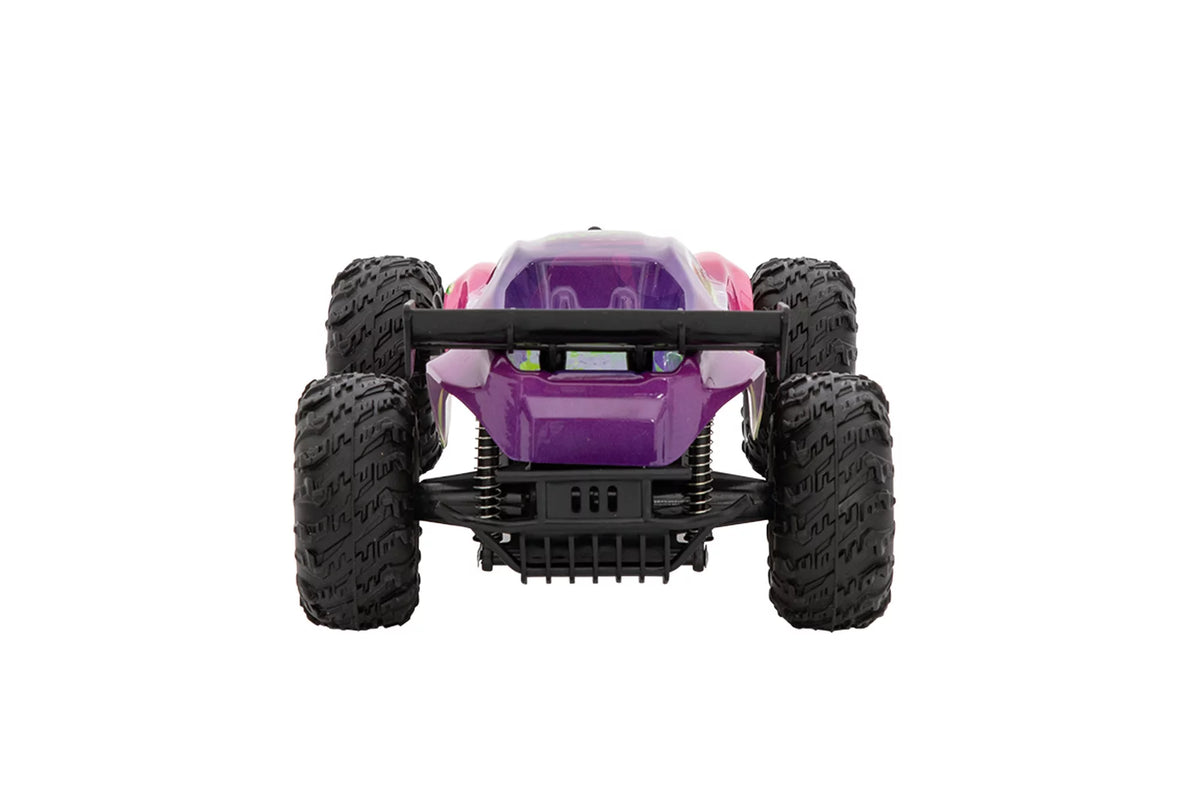 RC Truggy "Big Wheeler"